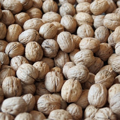 Noci in confezione da 1 kg