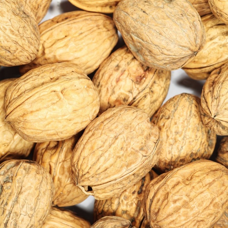 Noci in confezione da 1 kg